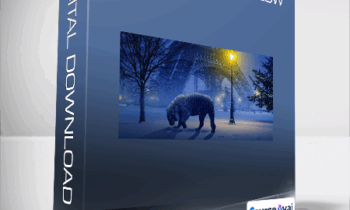 Kelvin Pimont - Photoshop Workflow