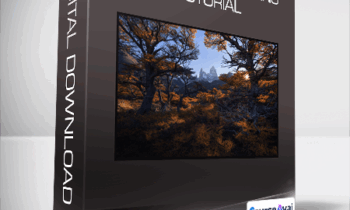 Eric Bennett - Tapestry Processing Tutorial