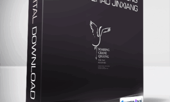 Soaring Crane Qigong - master Zhao Jinxiang