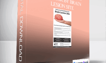 Addressing Patient Behavior by Brain Lesion Site: Clinical Tools & Strategies Specific to Patient Deficits - Jerome Quellier