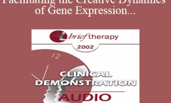 [Audio Only] BT02 Clinical Demonstration 05 - Facilitating the Creative Dynamics of Gene Expression and Brain Growth - Ernest Rossi