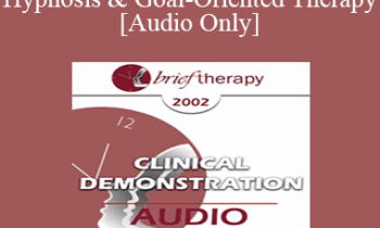 [Audio Only] BT02 Clinical Demonstration 09 - Hypnosis and Goal-Oriented Therapy - Michael Yapko