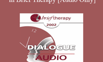[Audio Only] BT02 Dialogue 10 - Research in Brief Therapy - Scott Miller