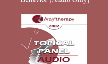 [Audio Only] BT02 Topical Panel 05 - Addictive Behavior - Steve de Shazer