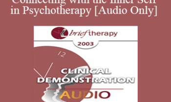 [Audio Only] BT03 Clinical Demonstration 05 - Connecting with the Inner Self in Psychotherapy - Stephen Gilligan