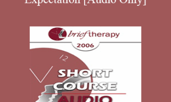 [Audio Only] BT06 Short Course 07 - Expectation: The Principles and Practice of Very Brief Therapy - Rubin Battino
