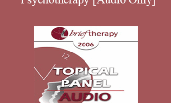 [Audio Only] BT06 Topical Panel 02 - Psychotherapy: Art or Science? - Stephen Lankton