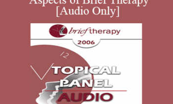 [Audio Only] BT06 Topical Panel 12 - Essential Aspects of Brief Therapy - Steve Andreas