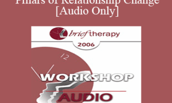 [Audio Only] BT06 Workshop 04 - The Four Pillars of Relationship Change - Ellyn Bader