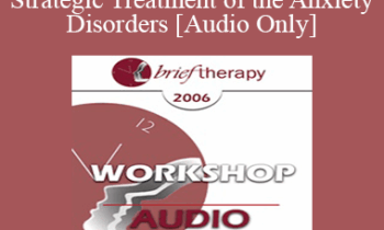 [Audio Only] BT06 Workshop 11 - Brief Strategic Treatment of the Anxiety Disorders - R. Reid Wilson