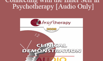 [Audio Only] BT08 Clinical Demonstration 03 - Connecting with the Inner Self in Psychotherapy - Stephen Gilligan
