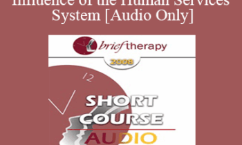 [Audio Only] BT08 Short Course 09 - The Influence of the Human Services System - Les Blondino