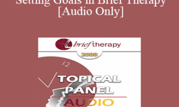 [Audio Only] BT08 Topical Panel 01 - Setting Goals in Brief Therapy - Scott Miller