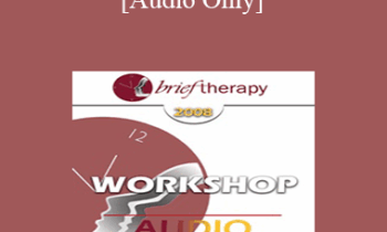 [Audio Only] BT08 Workshop 28 - Supershrinks: Learning From the Most Effective Practitioners - Scott Miller