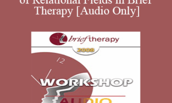 [Audio Only] BT08 Workshop 38 - The Role of Relational Fields in Brief Therapy - Robert Dilts