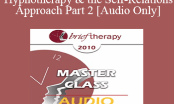 [Audio] BT10 Master Class 02 - Ericksonian Hypnotherapy and the Self-Relations Approach Part 2 - Stephen Gilligan