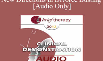 [Audio] BT12 Conversation Hour 05 - New Directions in Divorce Busting - Michele Weiner-Davis