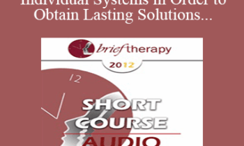 [Audio] BT12 Short Course 48 - Changing Individual Systems in Order to Obtain Lasting Solutions: Three Brief Strategic Techniques - Fabio Leonardi