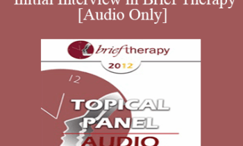 [Audio] BT12 Topical Panel 10 - The Initial Interview in Brief Therapy - Steve Andreas