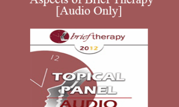 [Audio] BT12 Topical Panel 11 - Essential Aspects of Brief Therapy - Michael Hoyt