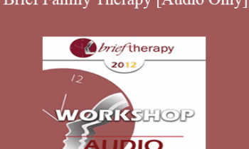 [Audio] BT12 Workshop 10 - Brief Family Therapy - Camillo Loriedo