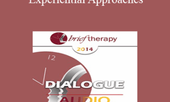 [Audio] BT14 Dialogue 02 - Experiential Approaches: The Power of Implication - Jeffrey Zeig