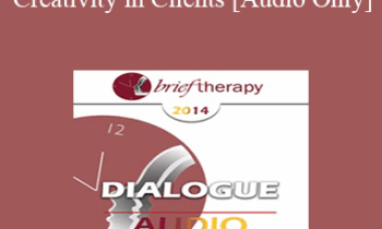 [Audio] BT14 Dialogue 06 - Activating Creativity in Clients - Stephen Gilligan