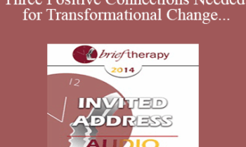 [Audio] BT14 Invited Address 05 - The Three Positive Connections Needed for Transformational Change - Stephen Gilligan