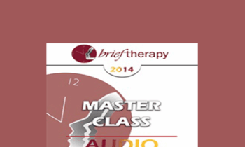 [Audio] BT14 Master Class - Jeffrey Zeig