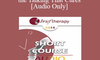 [Audio] BT14 Short Course 01 - Is it the Talking That Cures: Utilizing Silence to Make Therapy More Experiential and Improve Outcomes - Sue Pinco