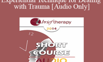 [Audio] BT14 Short Course 07 - Experiential Technique for Dealing with Trauma: Re-Visiting the Empty Chair - Linda Duncan