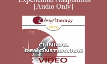 [Audio] BT16 Clinical Demonstration 01 - Experiential Adaptations - Jeffrey Zeig