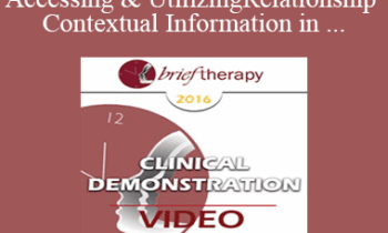 [Audio] BT16 Clinical Demonstration 06 - Accessing & Utilizing Relationship and Contextual Information in Brief Therapy - Wendel Ray