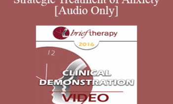 [Audio] BT16 Clinical Demonstration 08 - Strategic Treatment of Anxiety - Reid Wilson