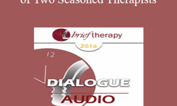 [Audio] BT16 Dialogue 6 - The Experiences of Two Seasoned Therapists: Developing Your Own Stance Separate From Changing Trends