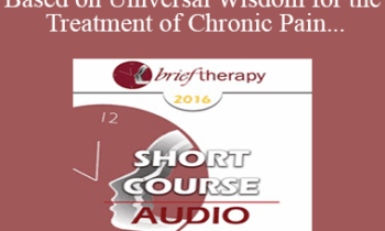 [Audio] BT16 Short Course 14 - Therapy Based on Universal Wisdom for the Treatment of Chronic Pain - Teresa Robles