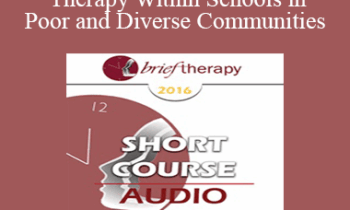 [Audio] BT16 Short Course 41 - Brief Therapy Within Schools in Poor and Diverse Communities - Karin Schlanger