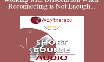 [Audio] BT16 Short Course 8 - Working with Dissociation When Reconnecting is Not Enough - Gabrielle Peacock