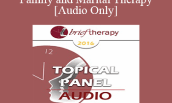 [Audio] BT16 Topical Panel 5 - Family and Marital Therapy - Lynn Lyons