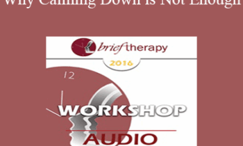 [Audio] BT16 Workshop 35 - Why Calming Down is Not Enough: Active Strategies to Help Anxious Kids and Parents - Lynn Lyons
