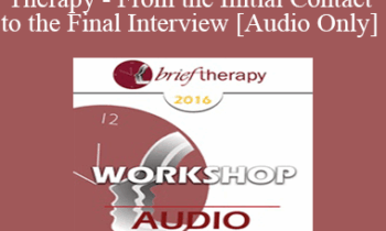 [Audio] BT16 Workshop 38 - MRI Brief Therapy - From the Initial Contact to the Final Interview - Wendel Ray