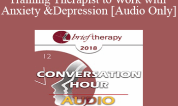 [Audio] BT18 Great Conversation 06 - Training Therapist to Work with Anxiety and Depression - Stephen Gilligan