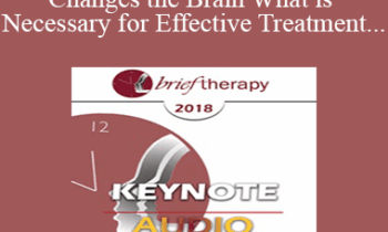 [Audio] BT18 Keynote 02 - If Trauma Changes the Brain What is Necessary for Effective Treatment - Bessel van der Kolk