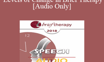 [Audio] BT18 Speech 07 - Neurological Levels of Change in Brief Therapy - Robert Dilts
