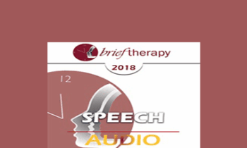 [Audio] BT18 Speech 13 - Couple Therapy: Shared Principles of Governance - Stan Tatkin
