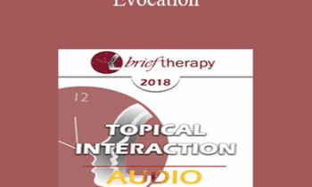 [Audio] BT18 Topical Interaction 04 - Evocation: Why Therapy Can Be Brief - Bill O'Hanlon