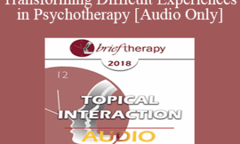 [Audio] BT18 Topical Interaction 07 - Transforming Difficult Experiences in Psychotherapy - Stephen Gilligan
