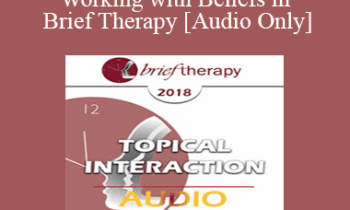 [Audio] BT18 Topical Interaction 15 - Working with Beliefs in Brief Therapy - Robert Dilts