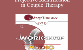 [Audio] BT18 Workshop 13 - Dealing with Projective Identification in Couple Therapy: The PACT Approach - Stan Tatkin
