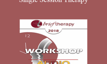 [Audio] BT18 Workshop 15 - Single Session Therapy: When the First Session May Be the Last - Michael Hoyt